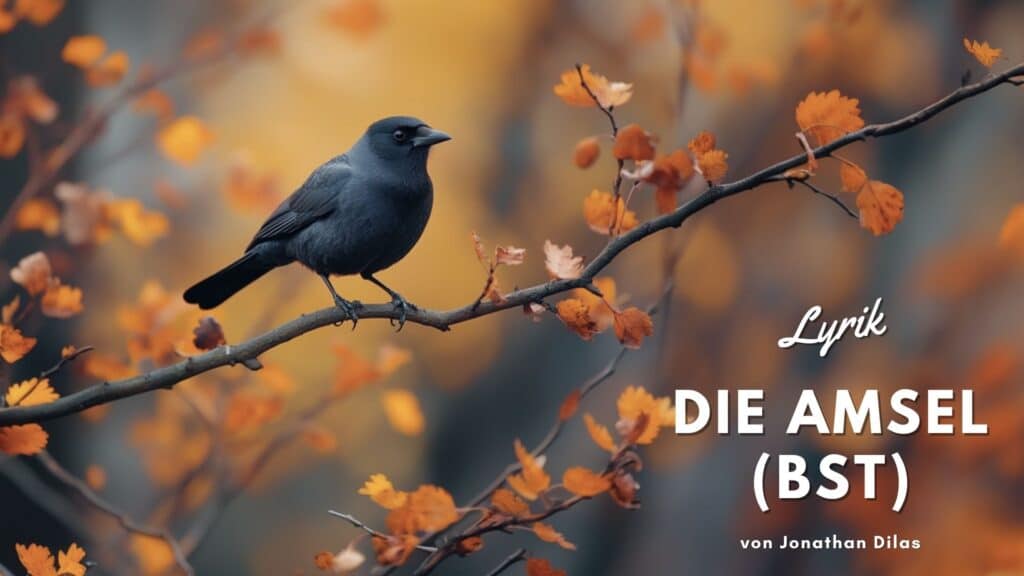 gedichte amsel die amselbst